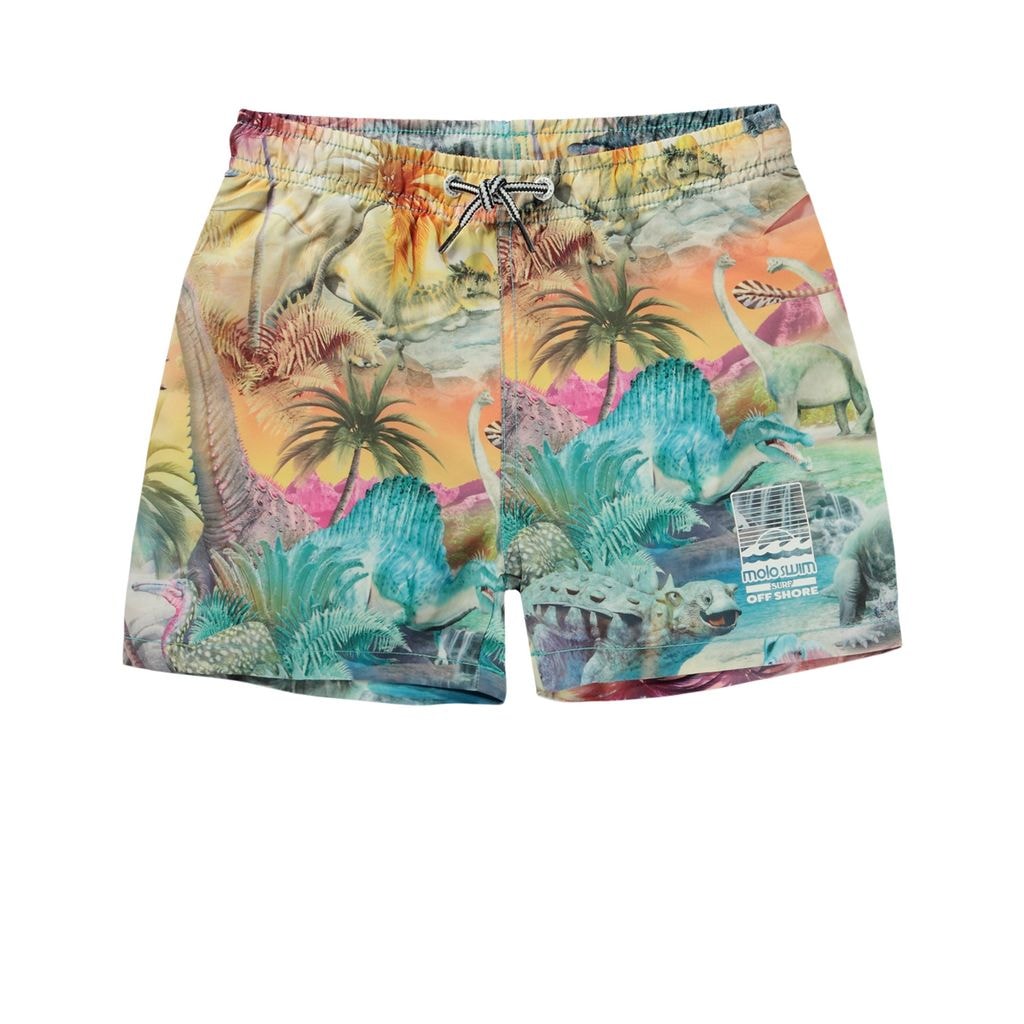 Niko Swim Shorts Dino Paradis