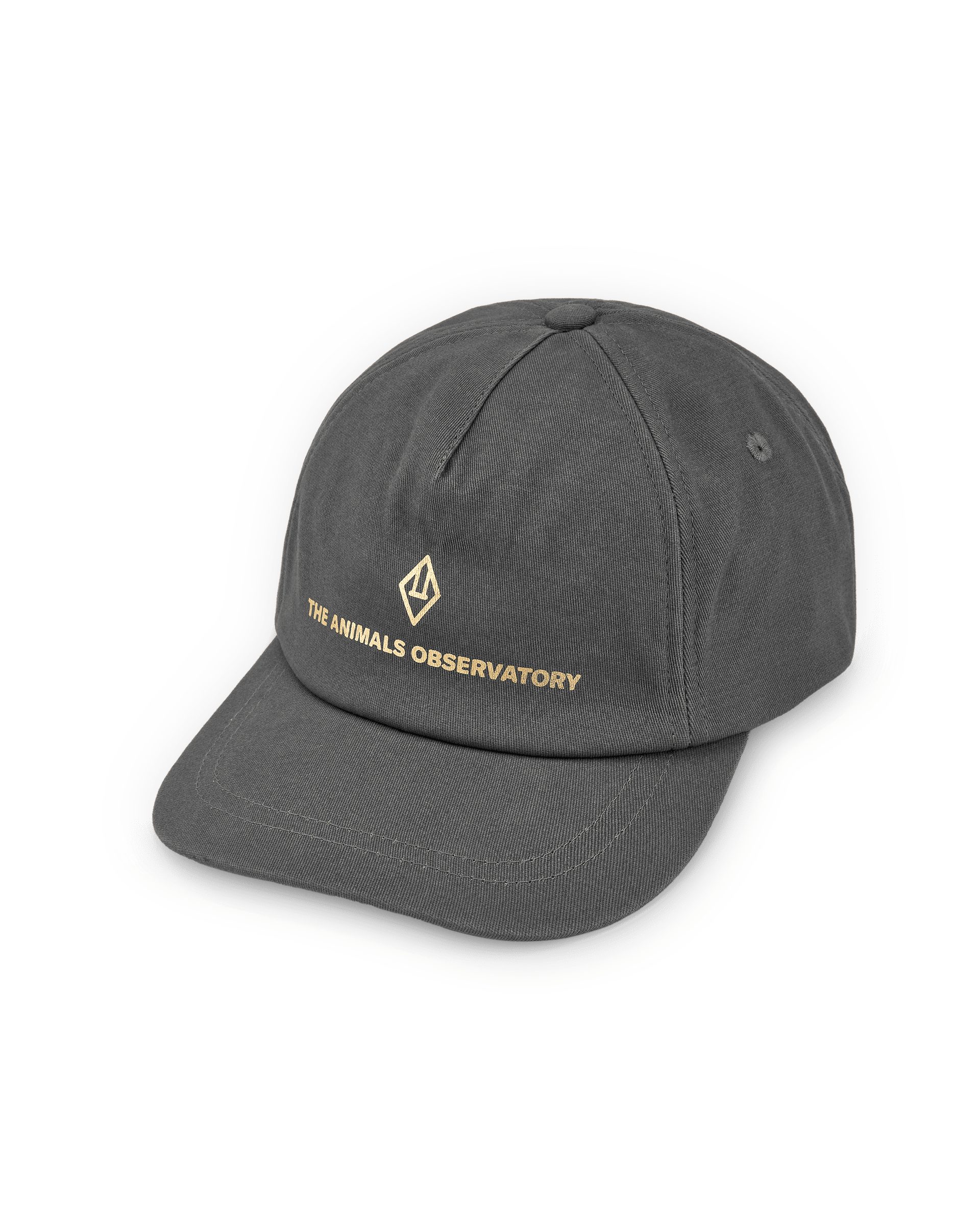 Hamster Cap Deep Grey