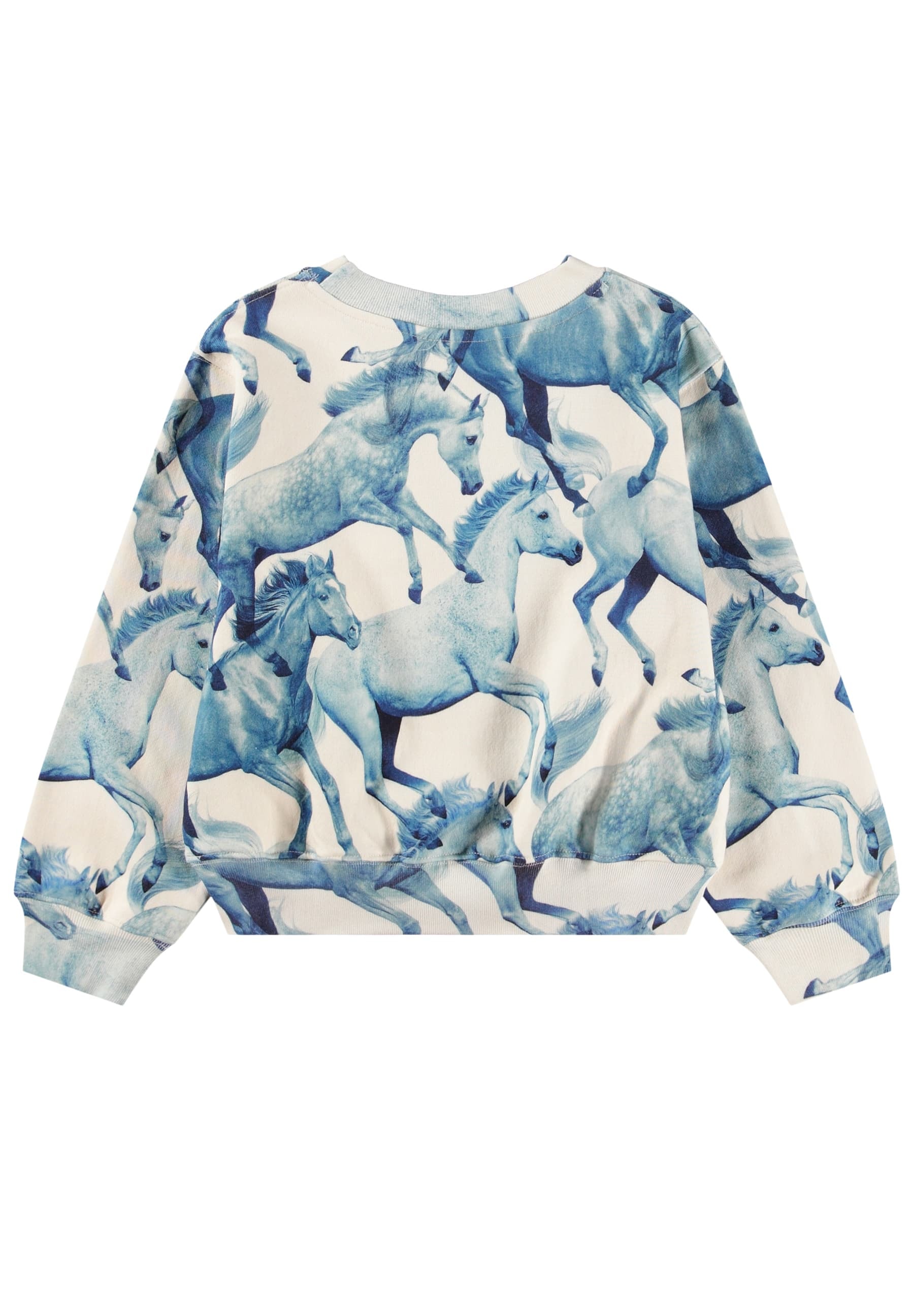 Marge Tröja Blau Ponies