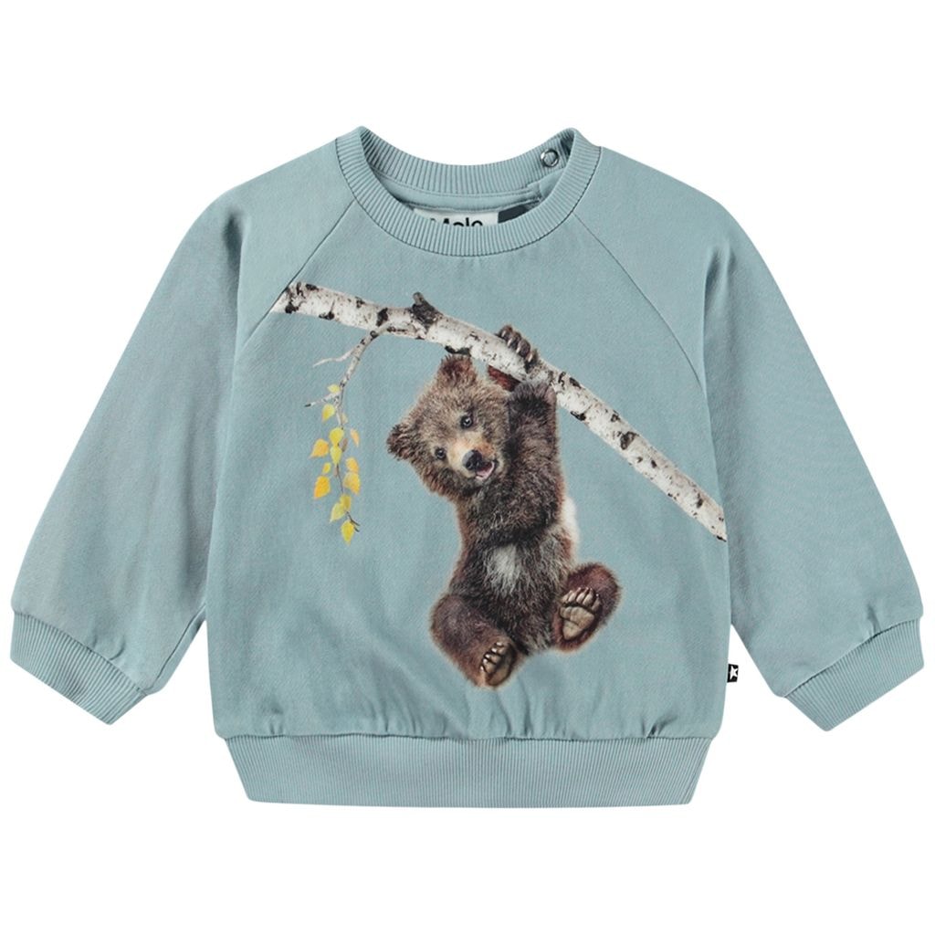 GOTS Disc Collegepaita Birch Tree Bear