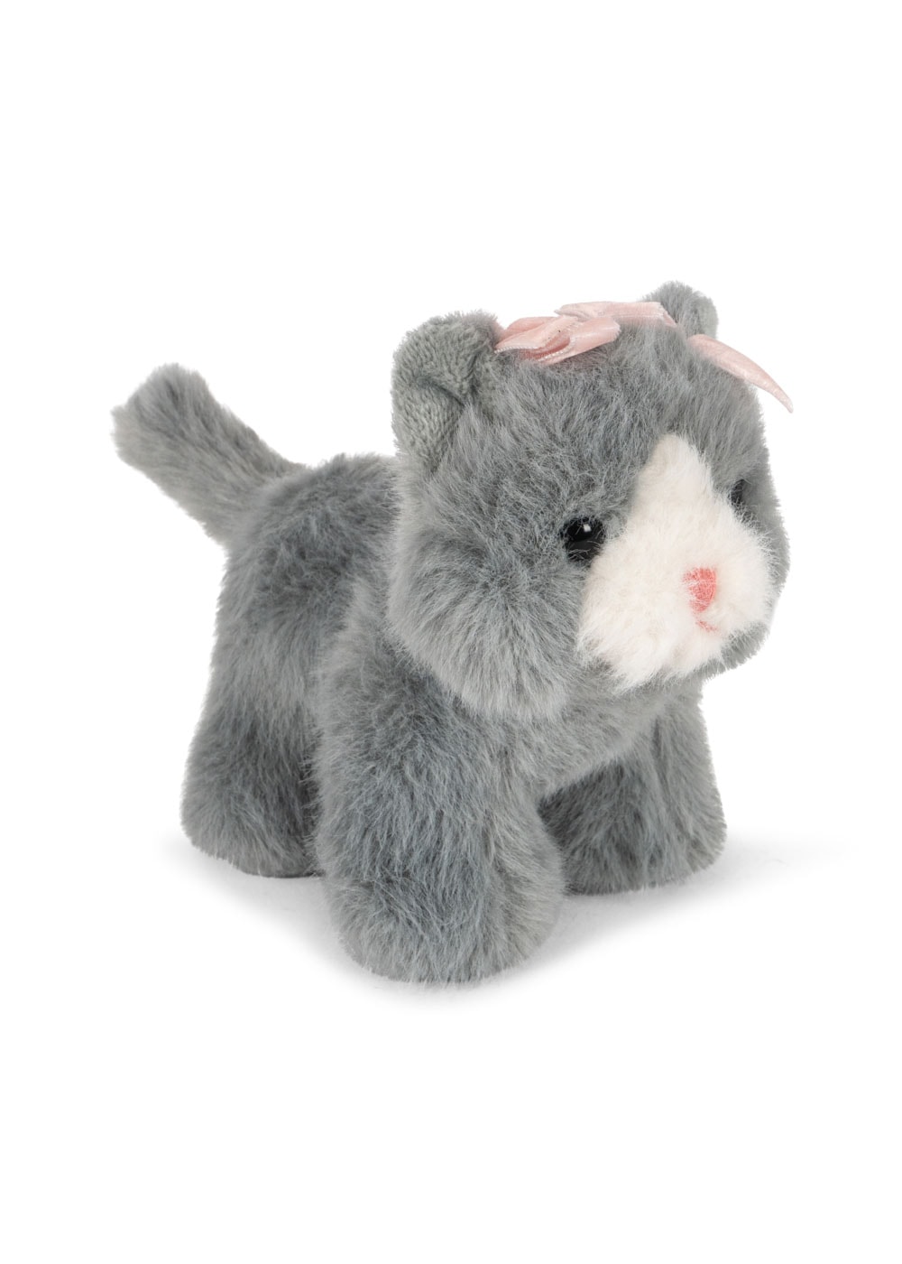 Baby Animals Grey Cat 