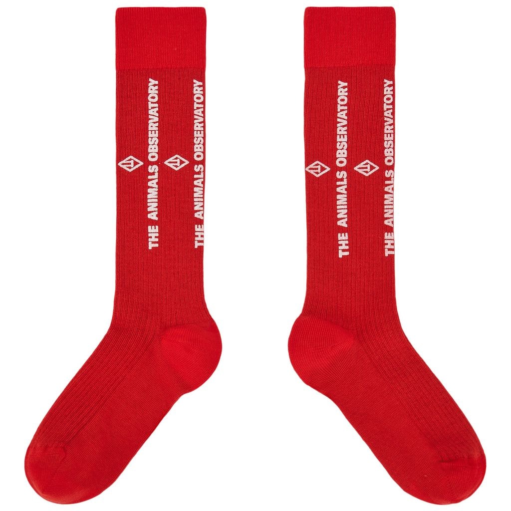 Worm Sock RED