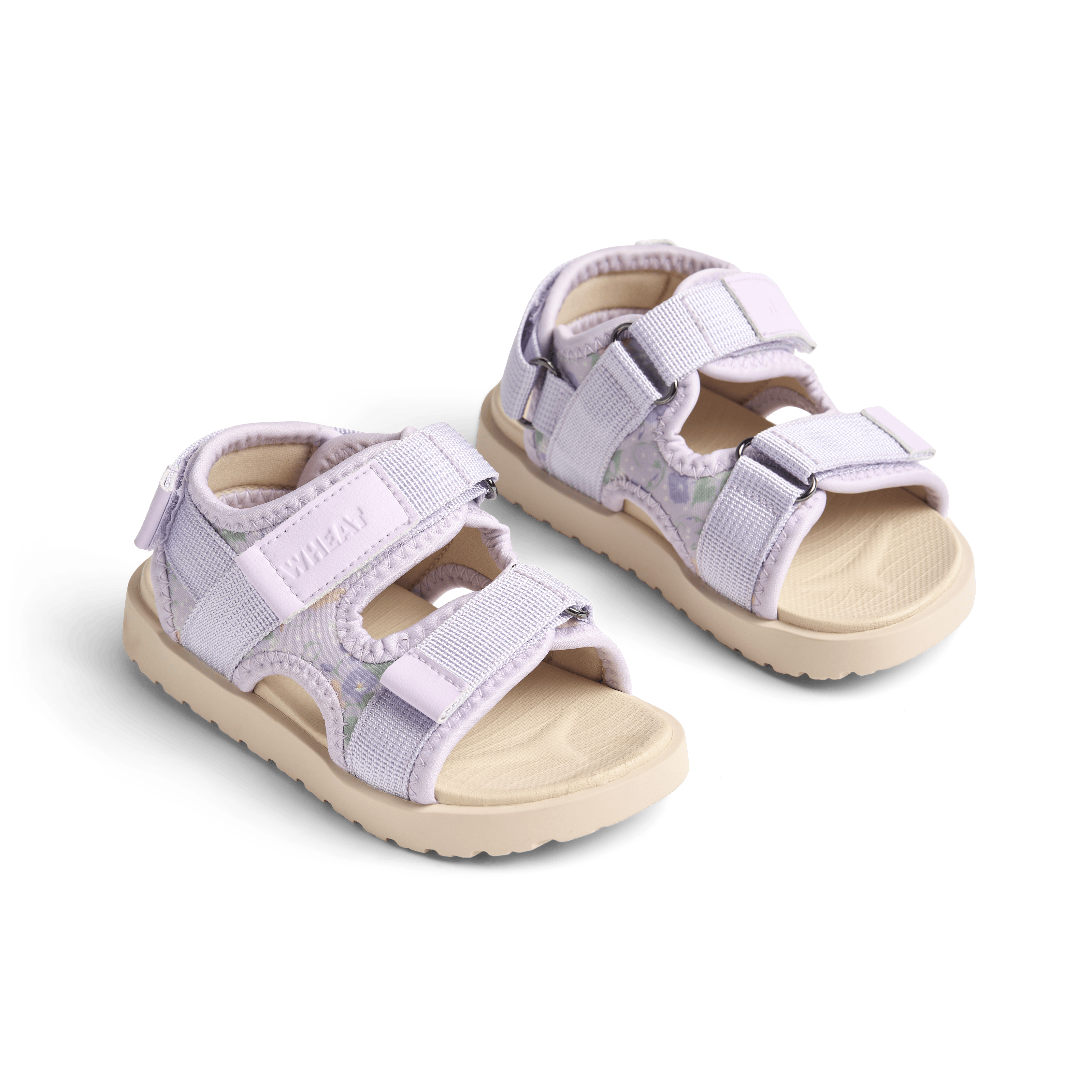 Mandy Sandaler Purple Light Petunias 