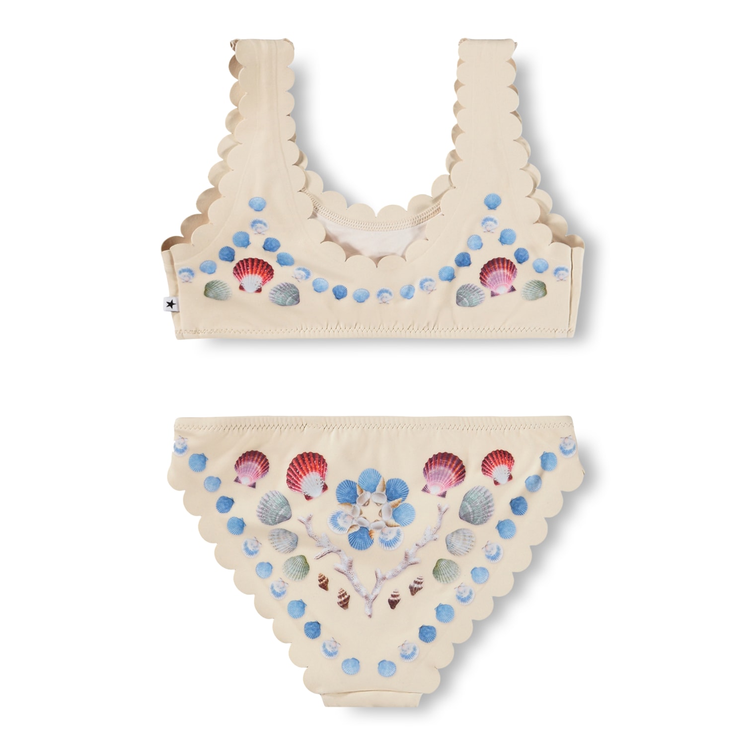 Nolina Bikini Sea Shell Deco