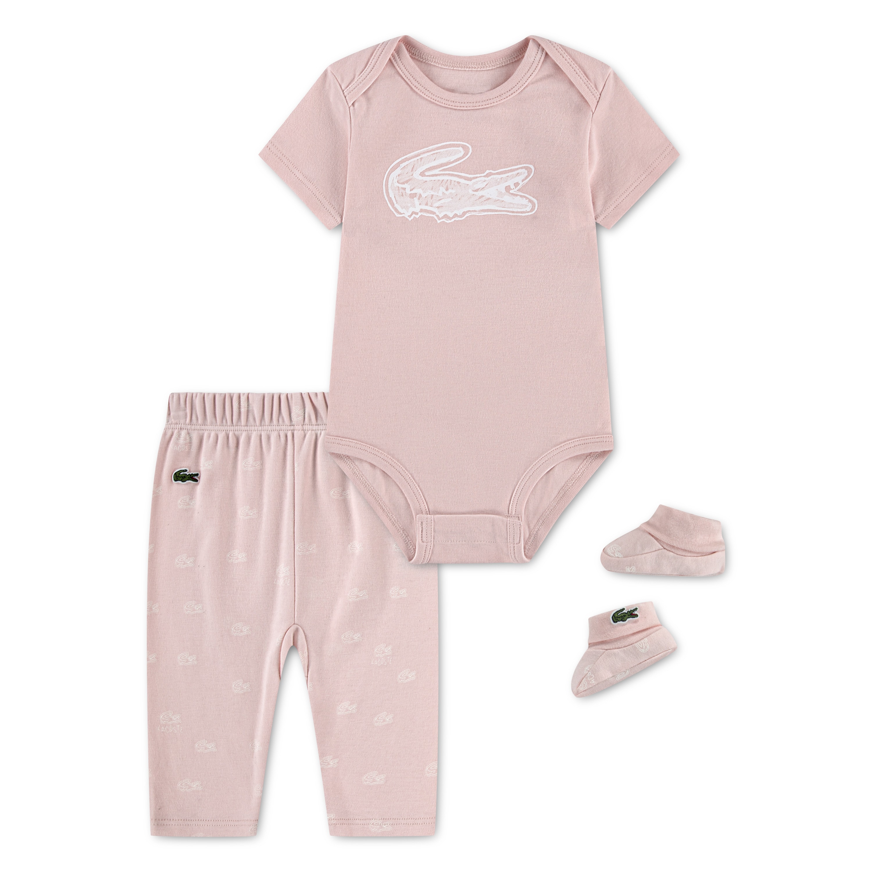 3 Pc Graphic Box Set Nidus