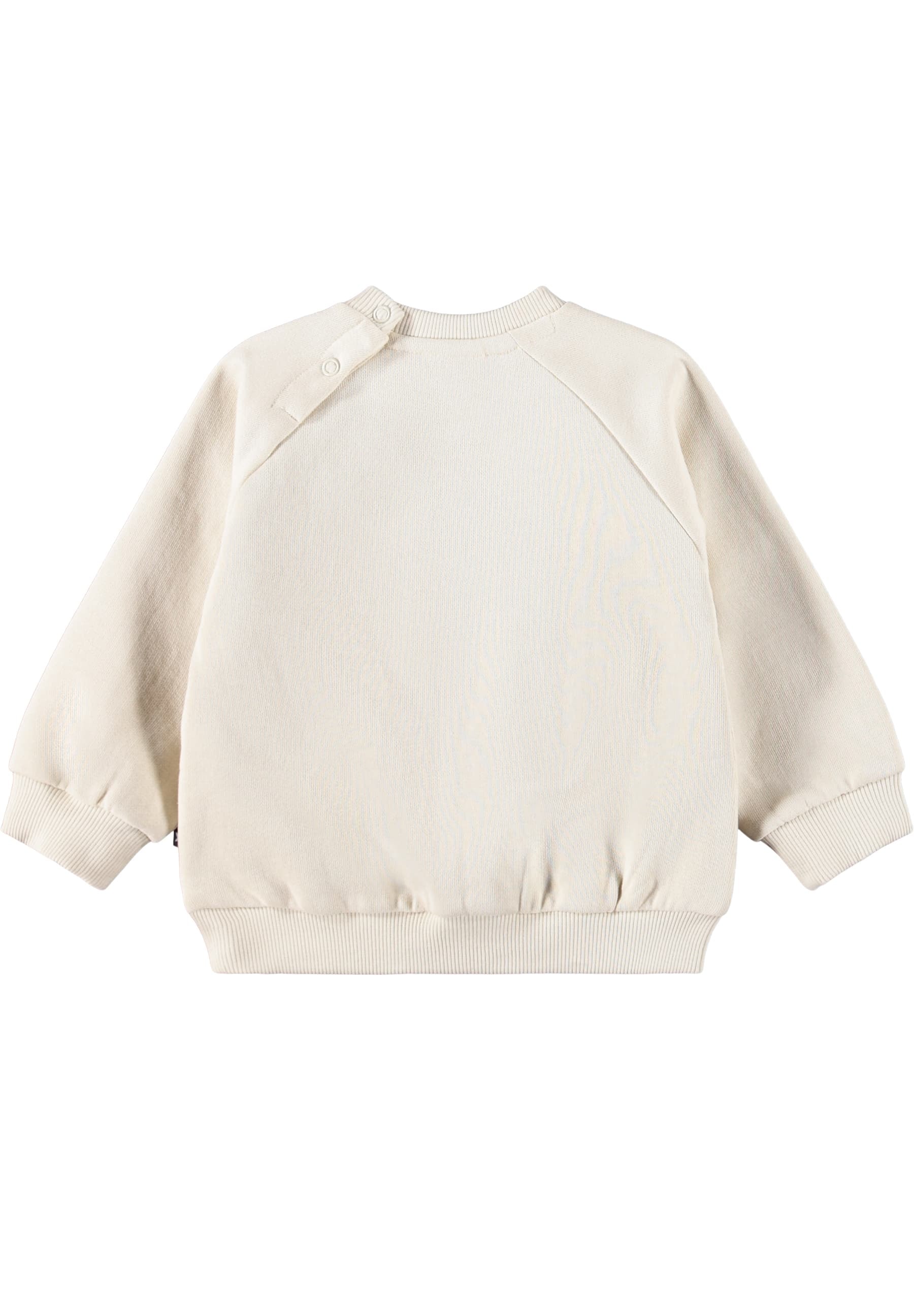 GOTS Disc Sweatshirt White Noise