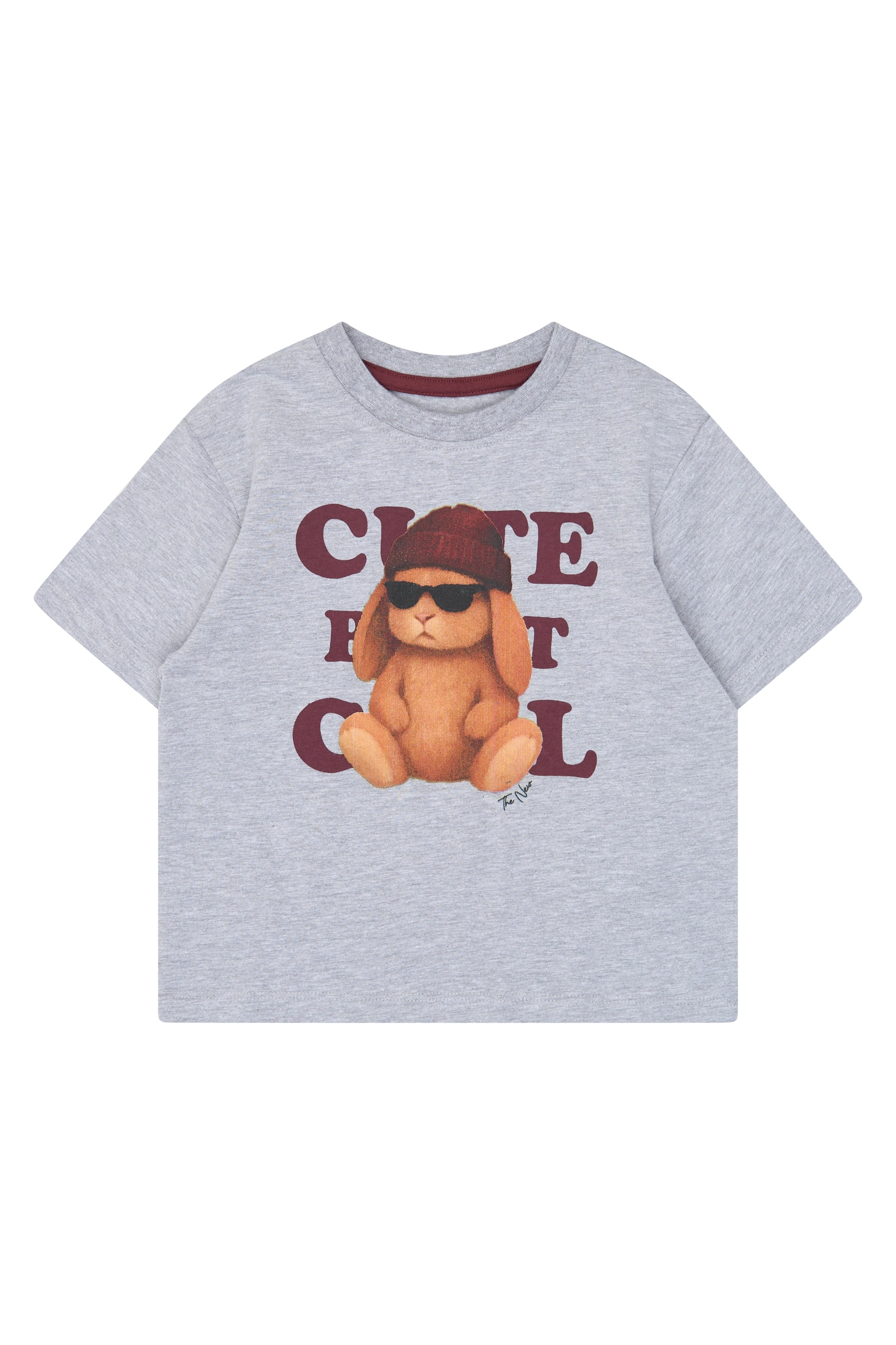Vernisha T-shirt Light Grey Melange
