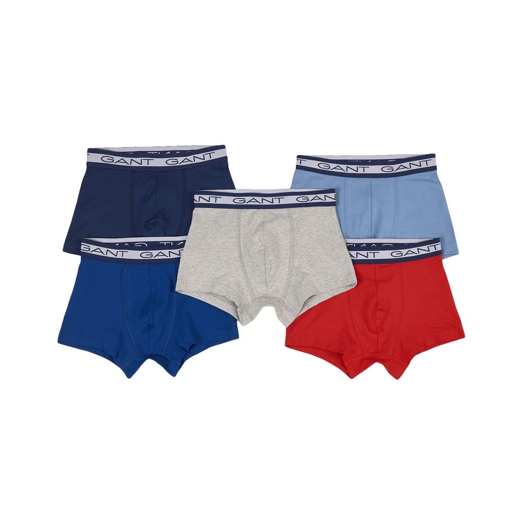 5-Pack Trunks Gray