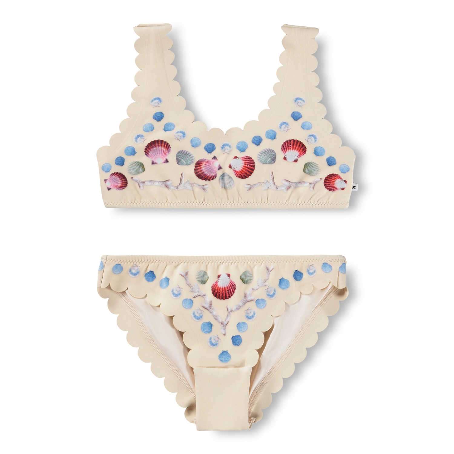 Nolina Bikini Sea Shell Deco