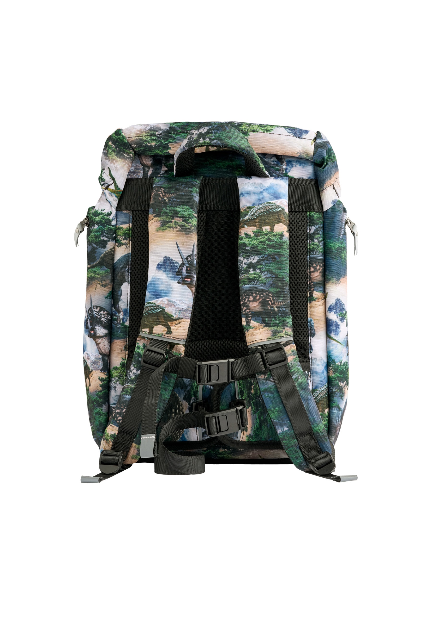 Reppu Mountain Dino