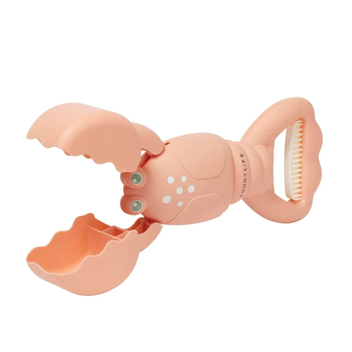Lobster Sand Scoop Coral