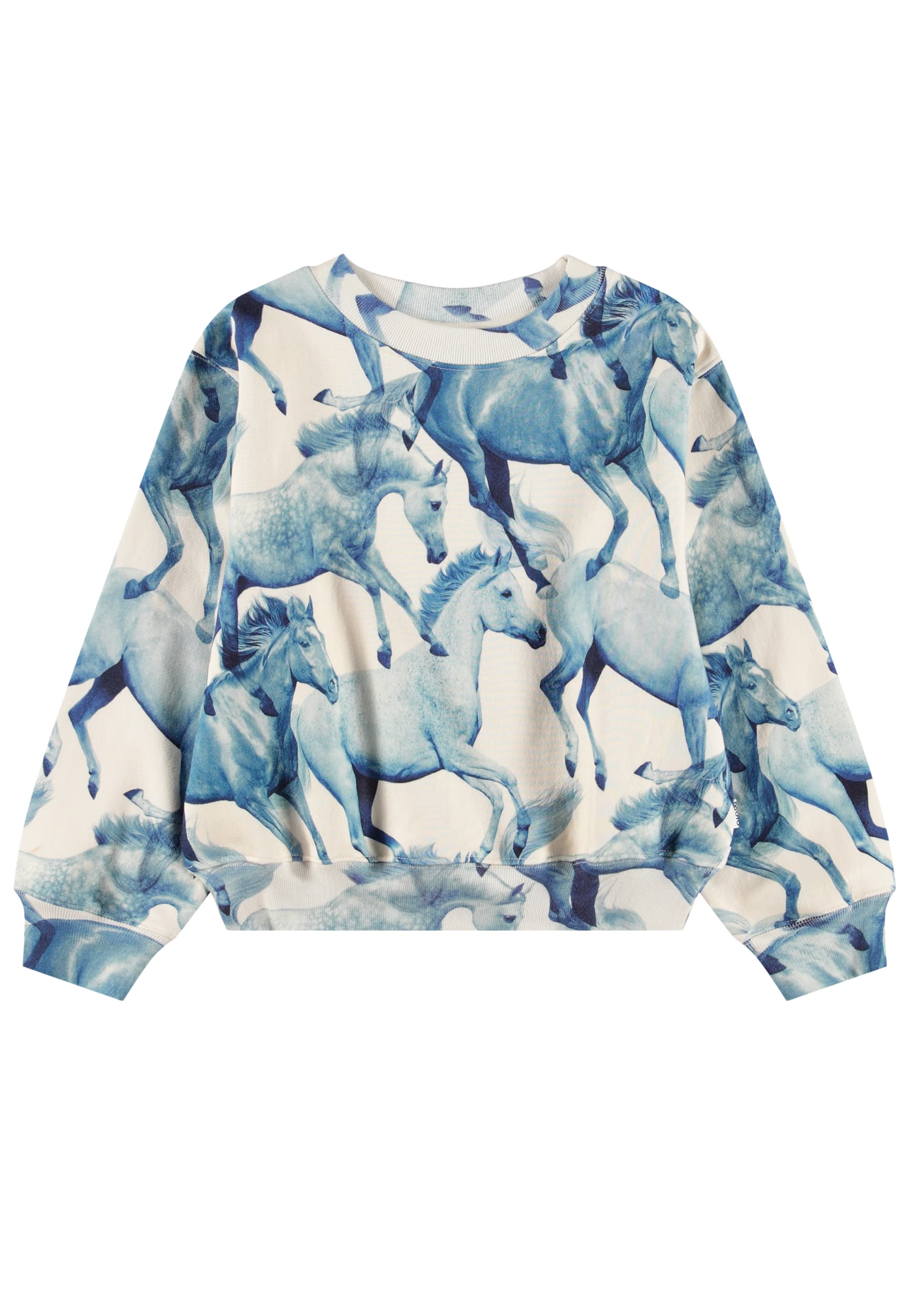 Marge Tröja Blau Ponies