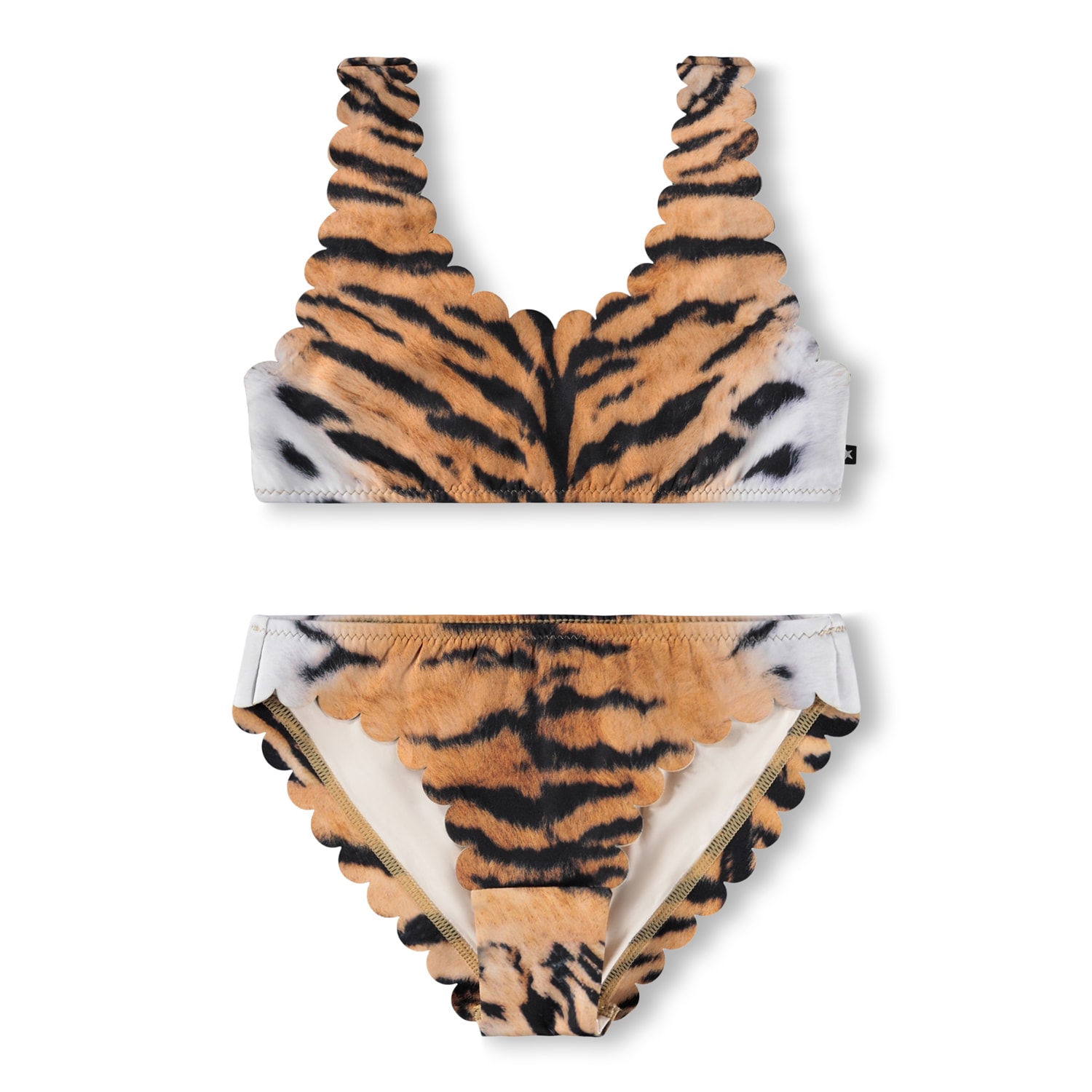 Nolina Bikini Wild Tiger