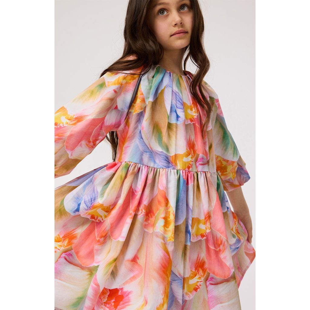 Ciera Long-Sleeved Dress Be A Tulip
