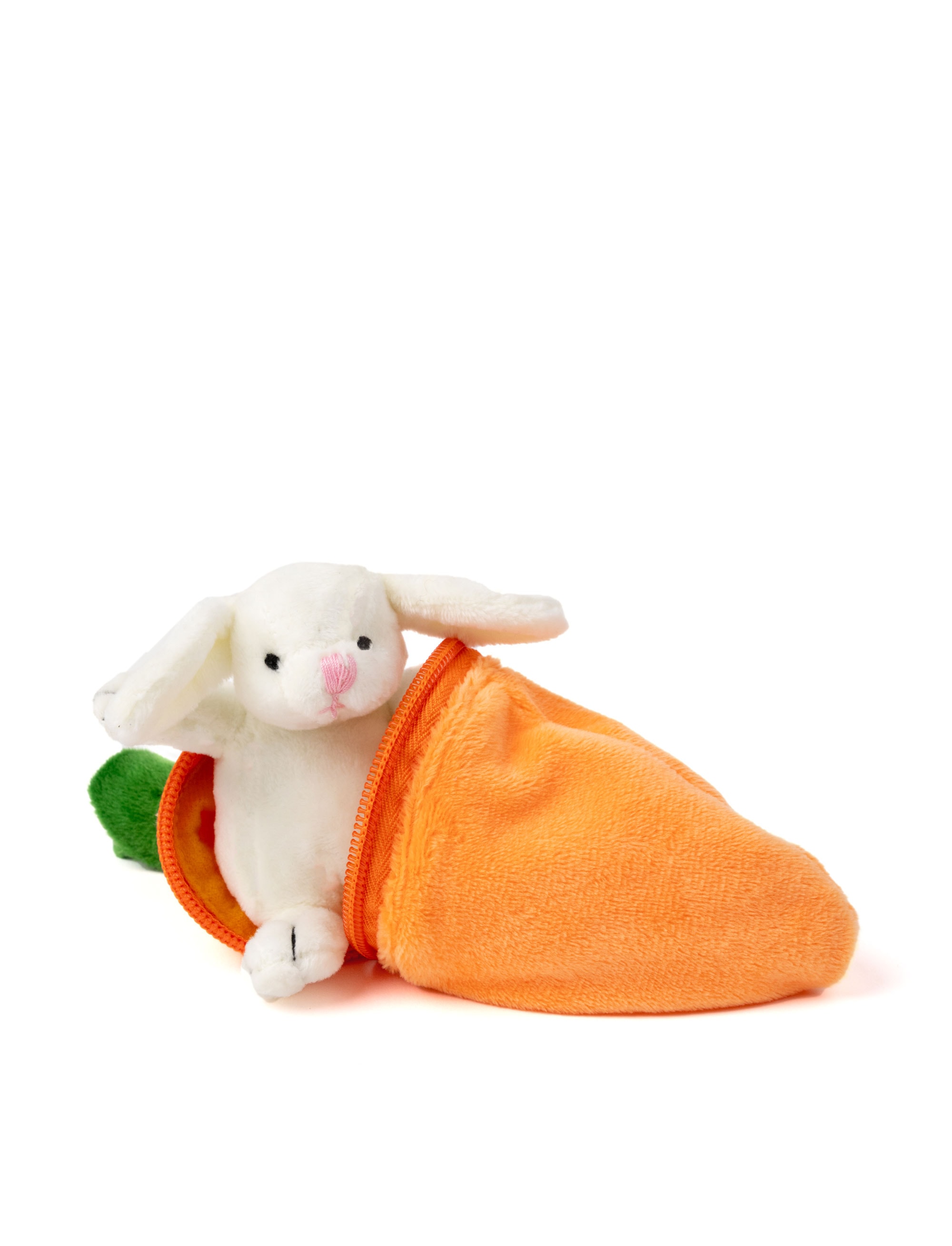 Bunny In Carrot Surprise 