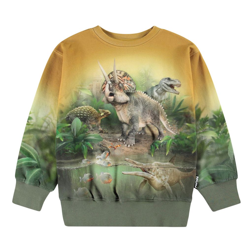 Mattis Sweatshirt Forest Dinos