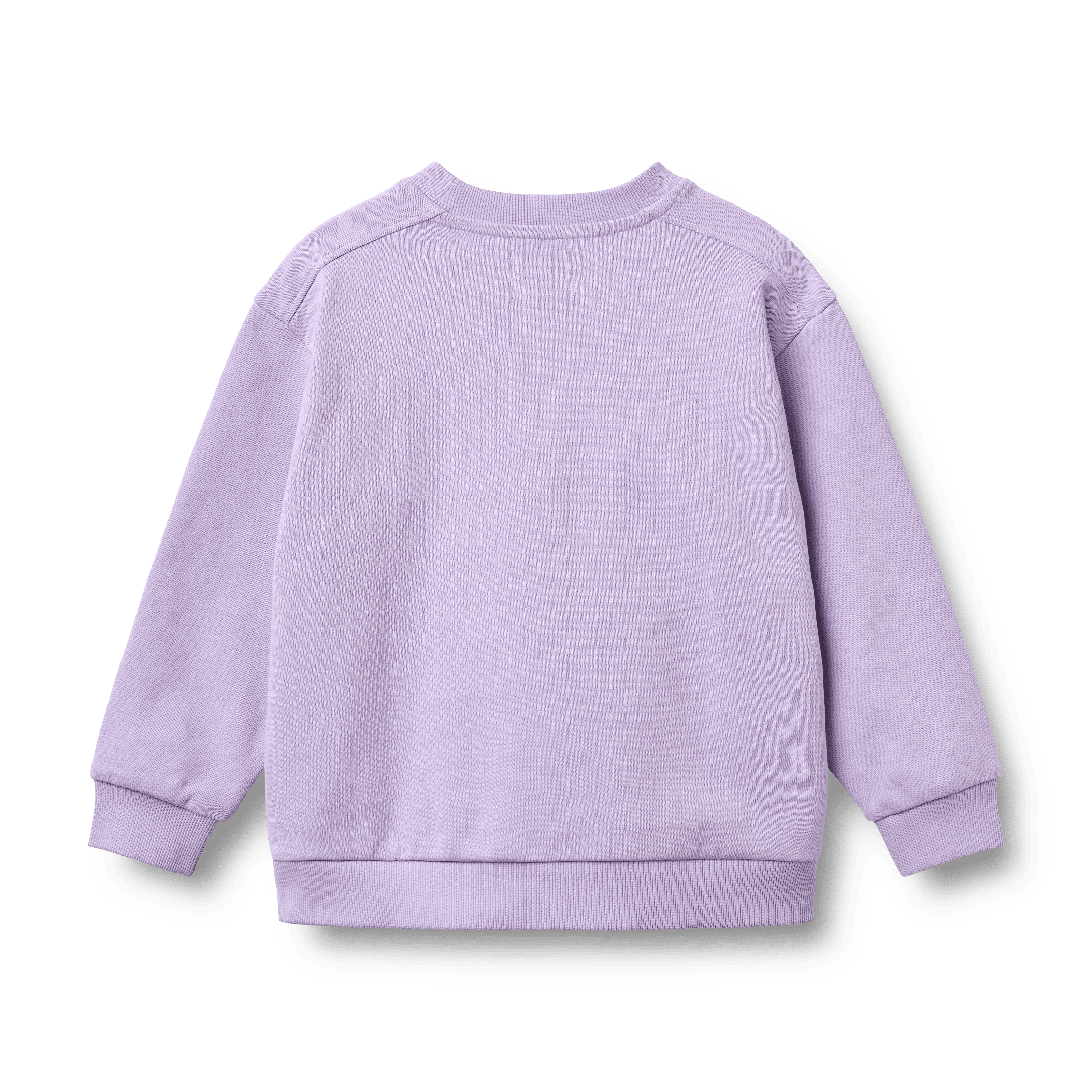 Sweatshirt L/S Ellis Purple Candy