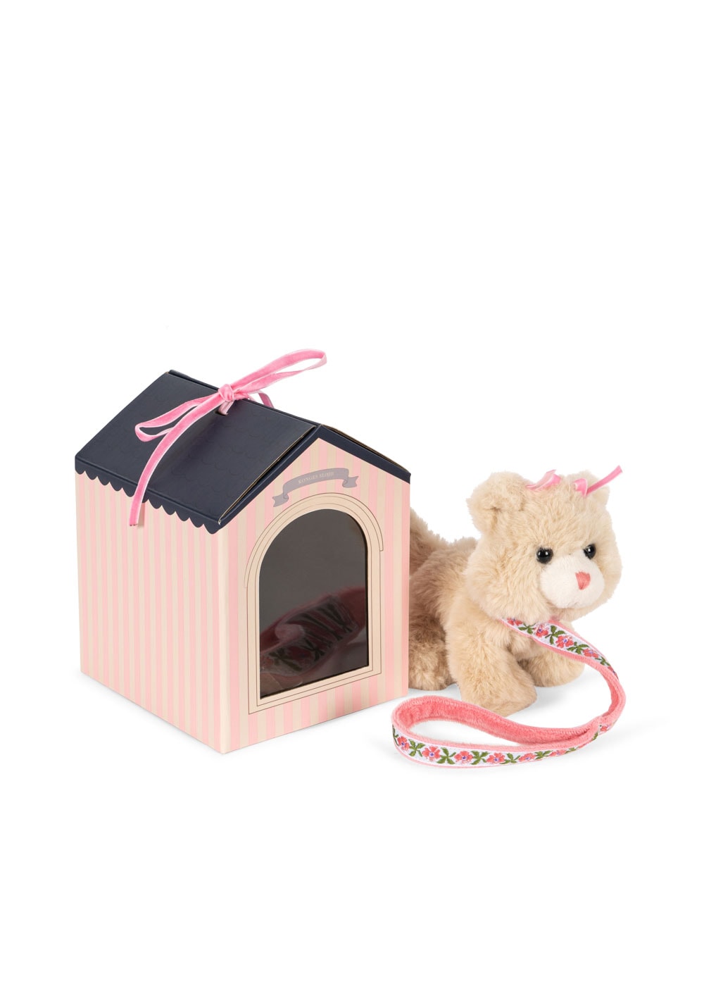 Pet Kitty Cat 