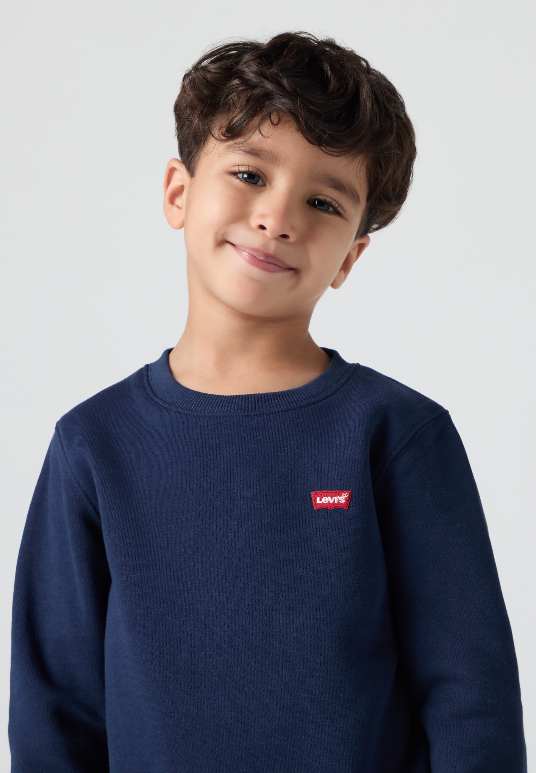 Mini Logo Crewneck Genser Dress Blues