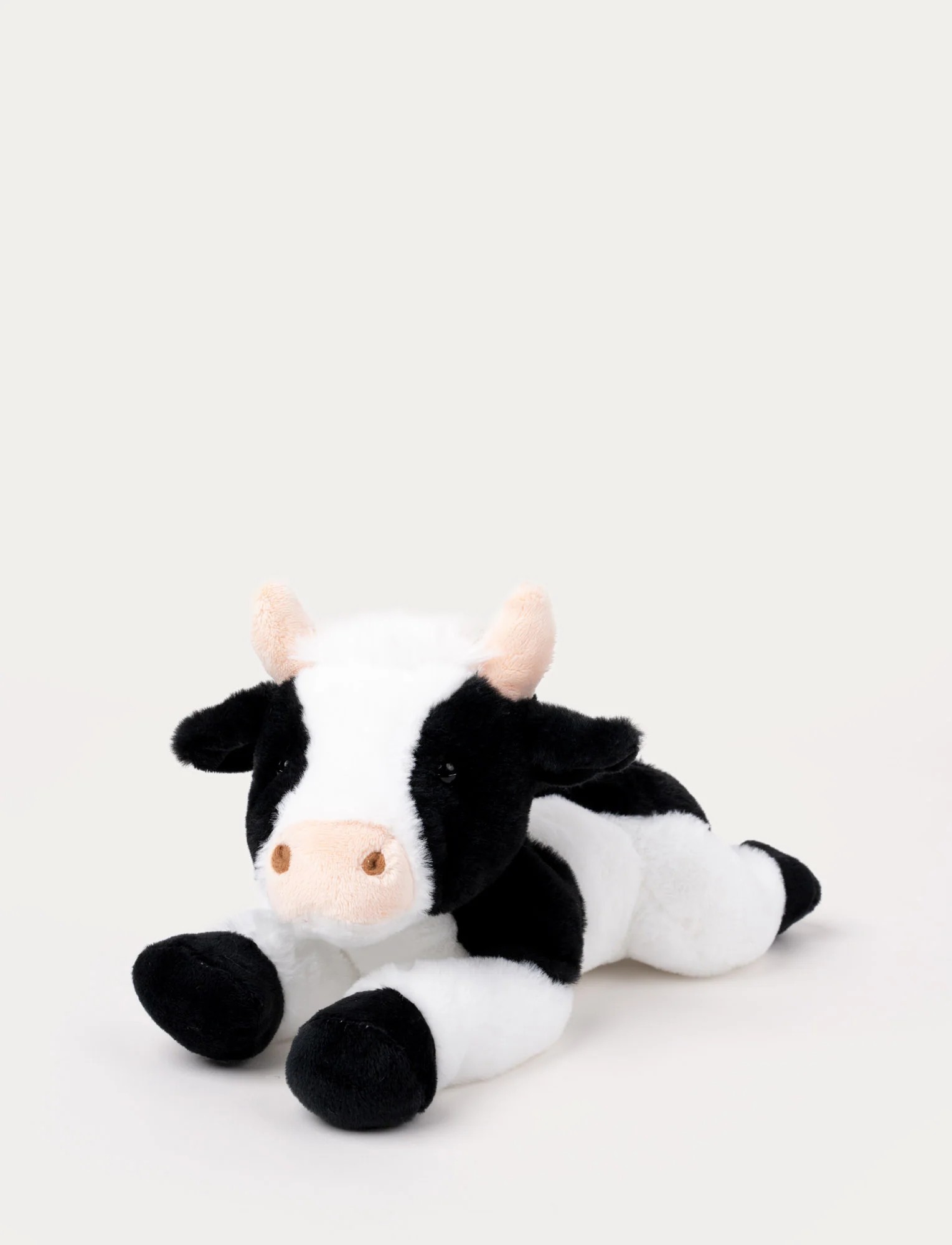 Teddy Farm Ko