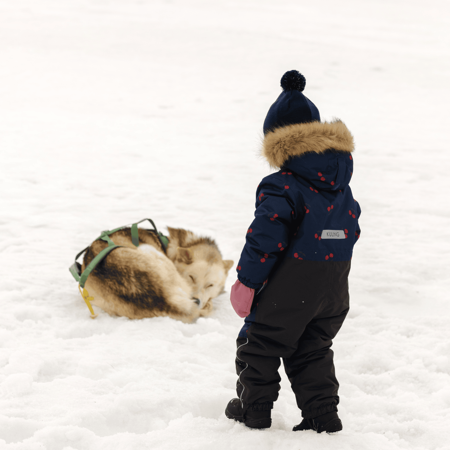 KULING　チェリー柄　スノーウェア　105㌢ Chamonix Winter Coverall Navy Cherry | Babyshop - Shop premium