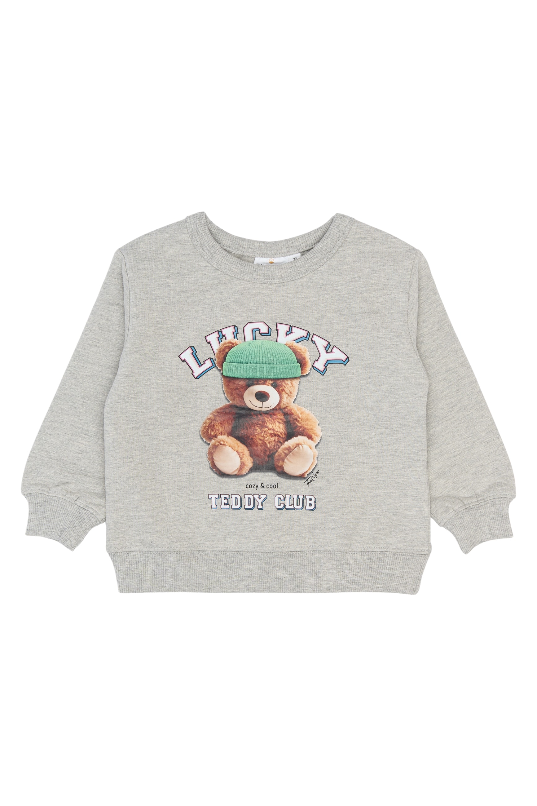 TNSTPippin OS Sweatshirt Light Grey Melange
