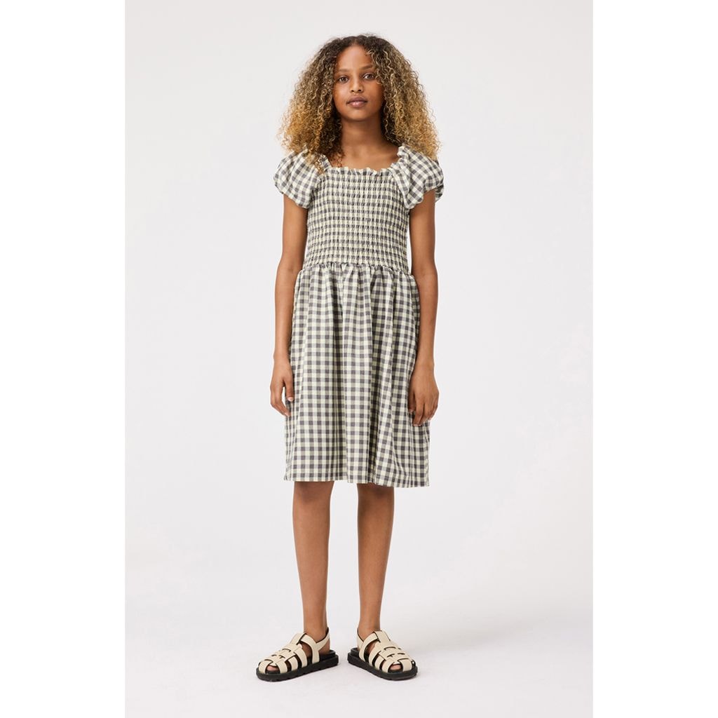 Cherisla Short-Sleeved Dress Sun Check
