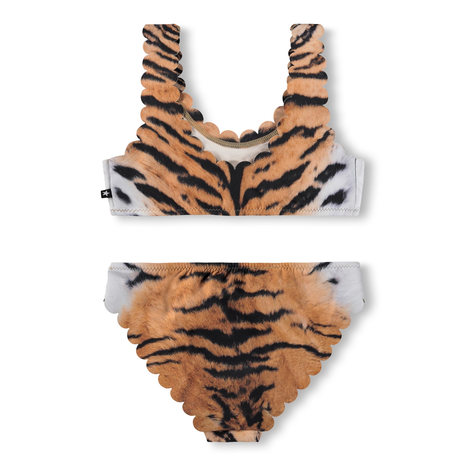 Nolina Bikini Wild Tiger