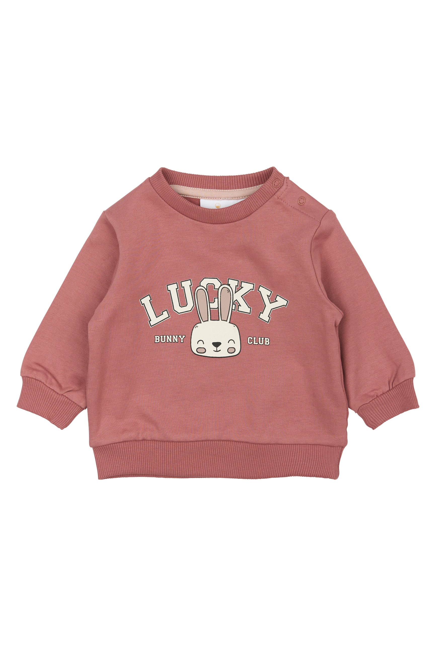 TNSBPheba Sweatshirt Withered Rose
