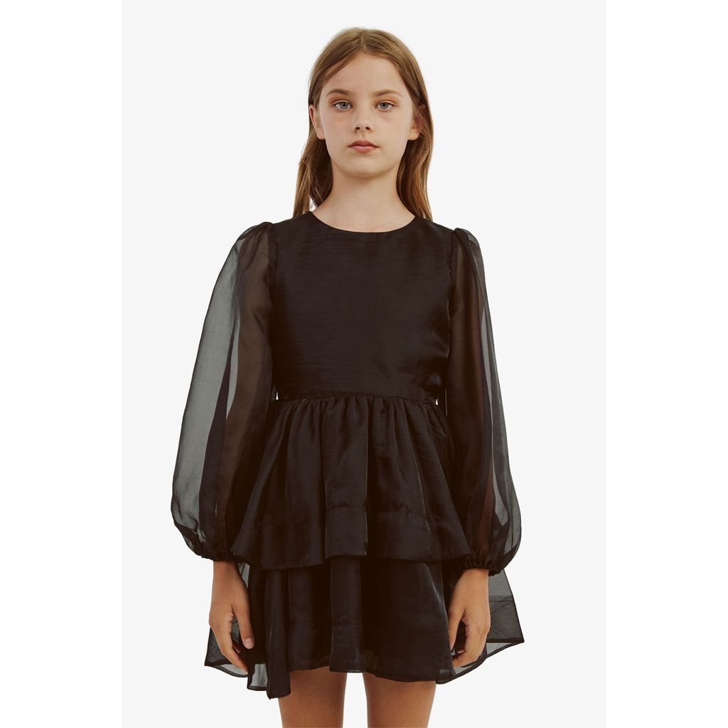 Wednesday Organza Dress Black