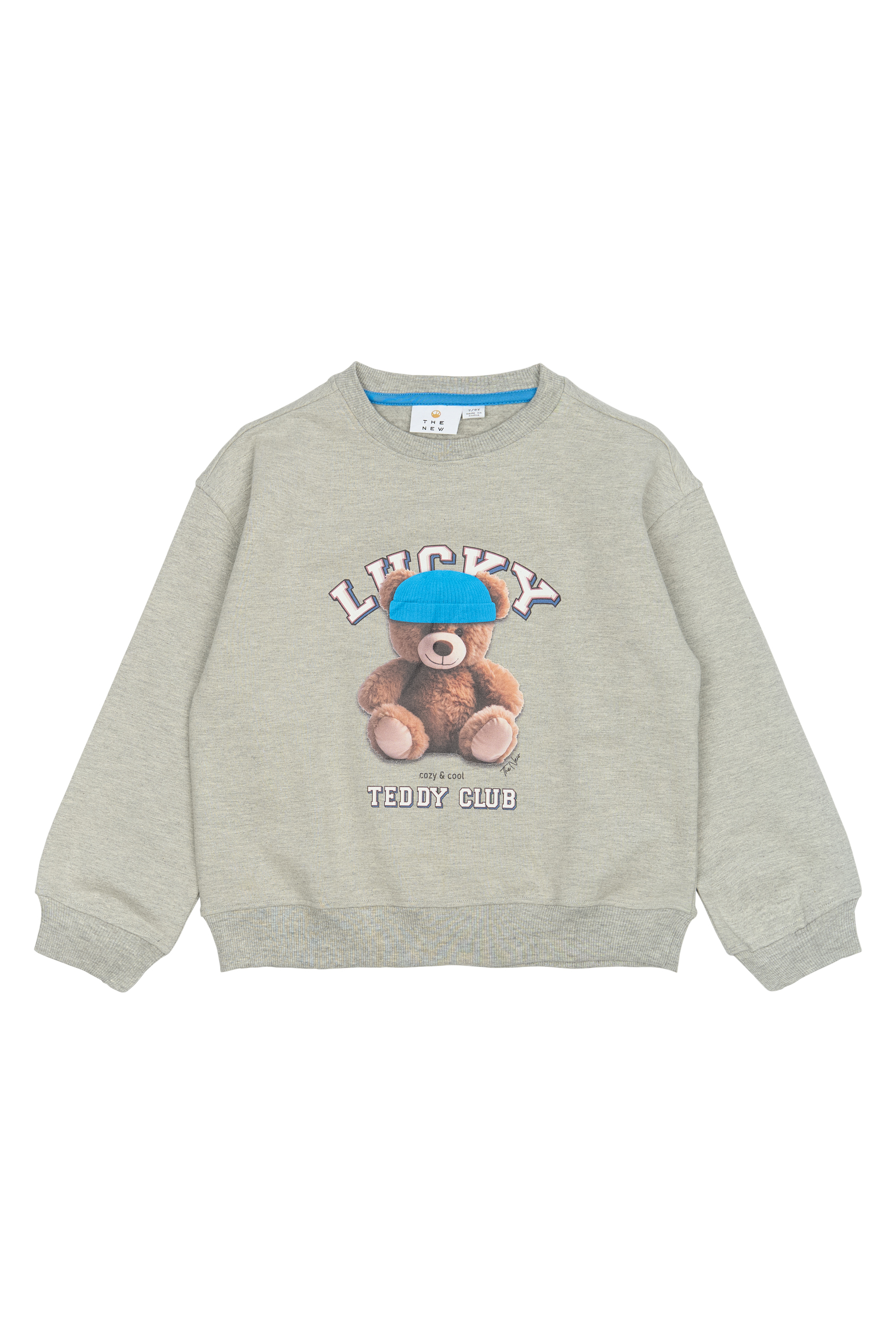 Pendra Sweatshirt Light Grey Melange