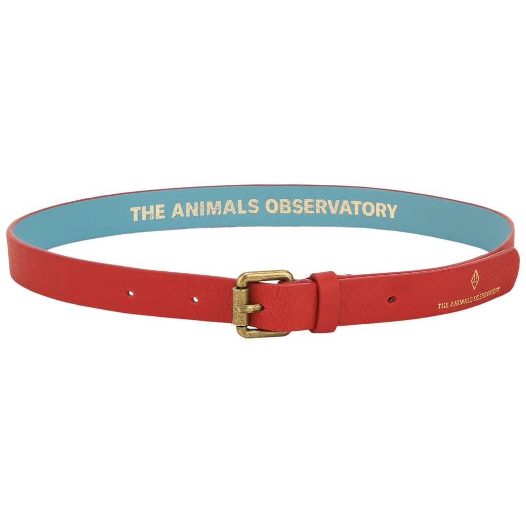 Ibis Belt Red