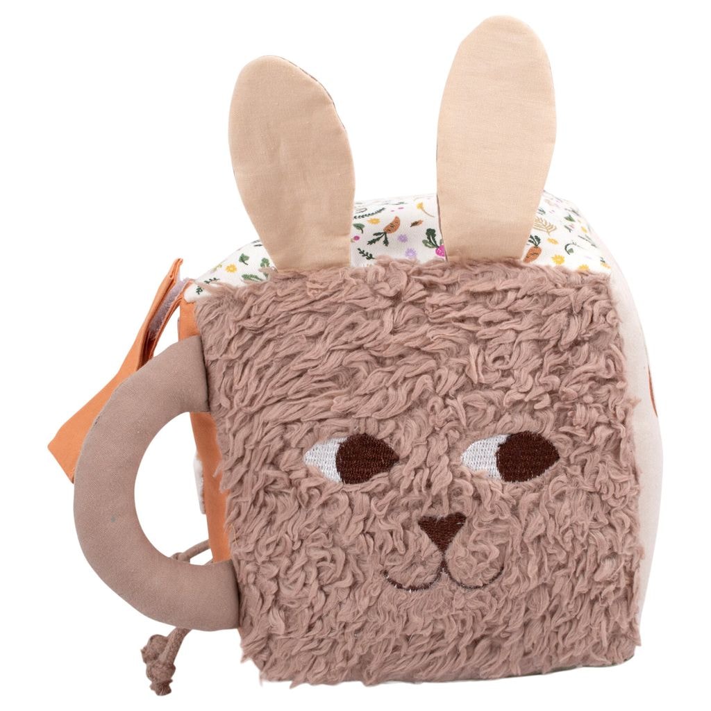 Activity Cube Carrot Thief
