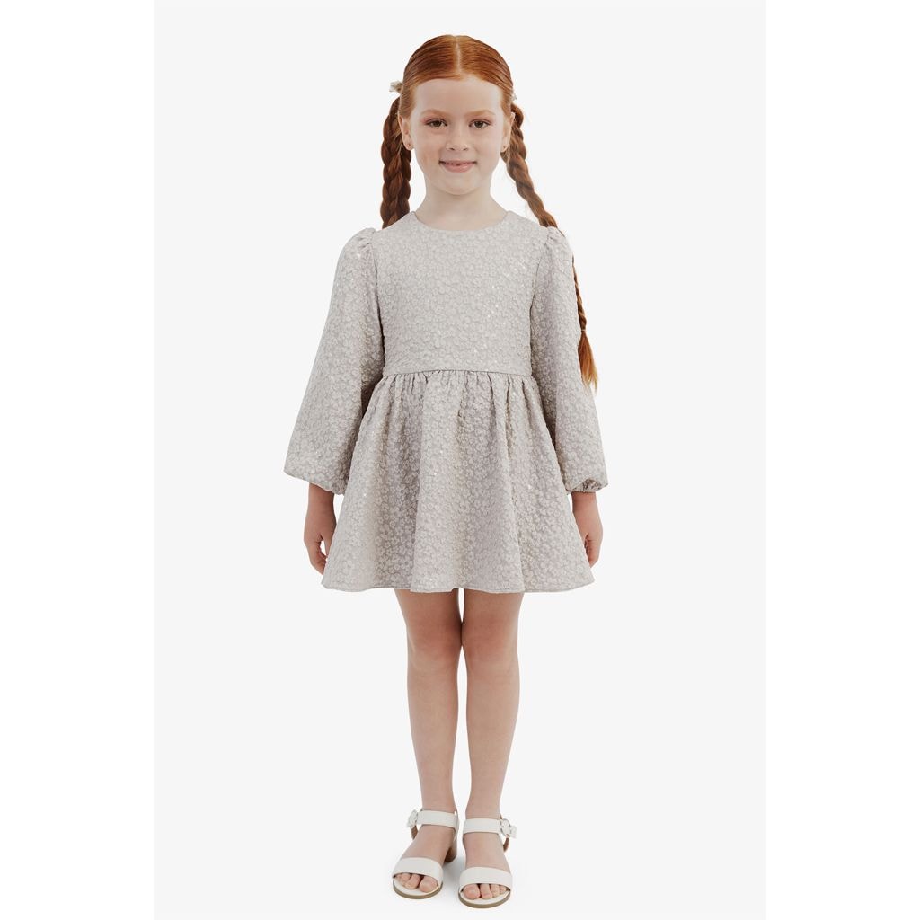 Mirae Mini Dress Silver