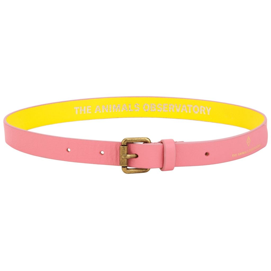 Ibis Belt Pink