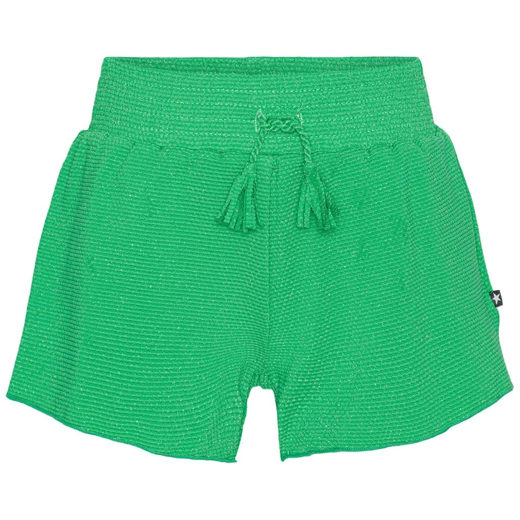 Nicci Swim Shorts Green