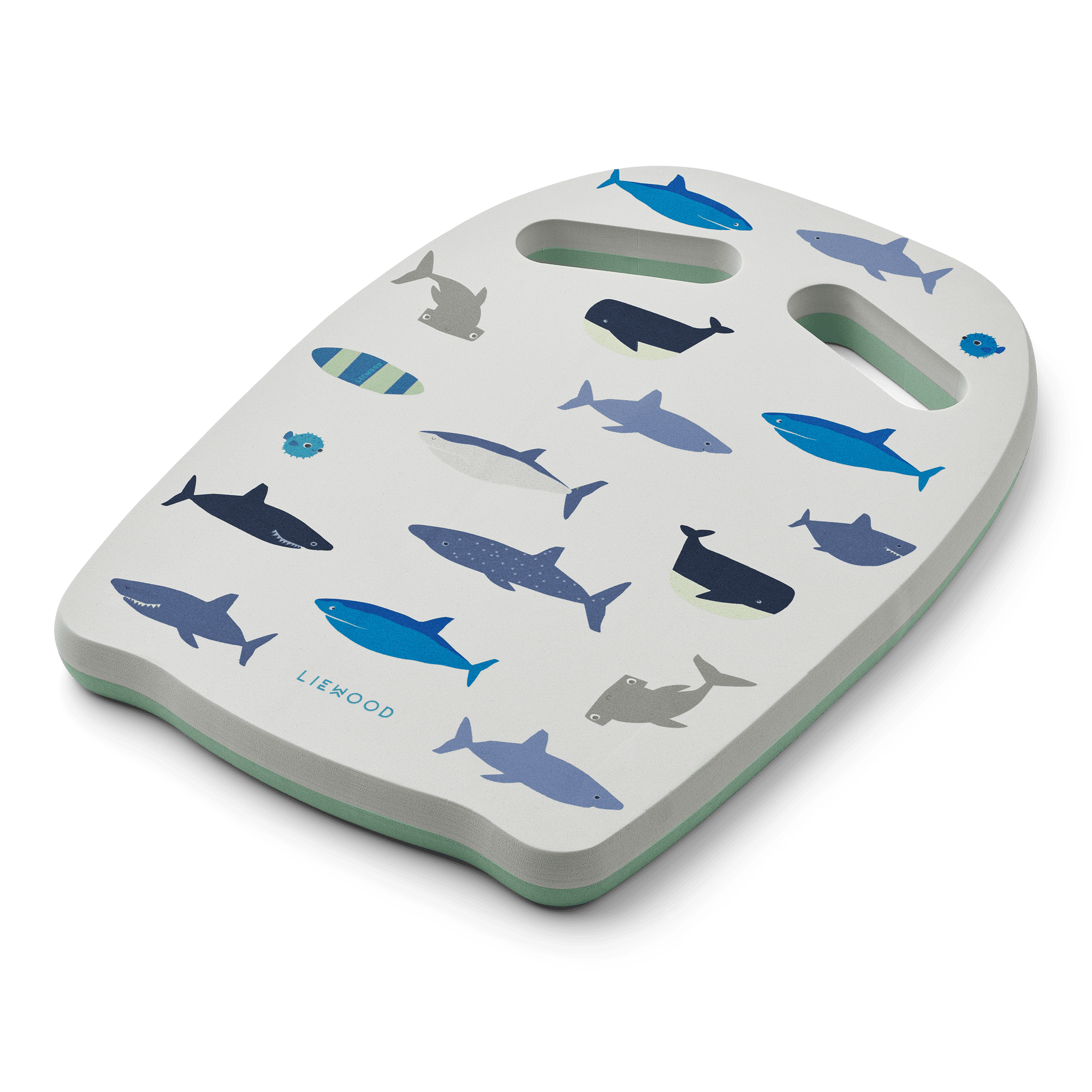 Hayden Swim Board Shark / Dove Blue 