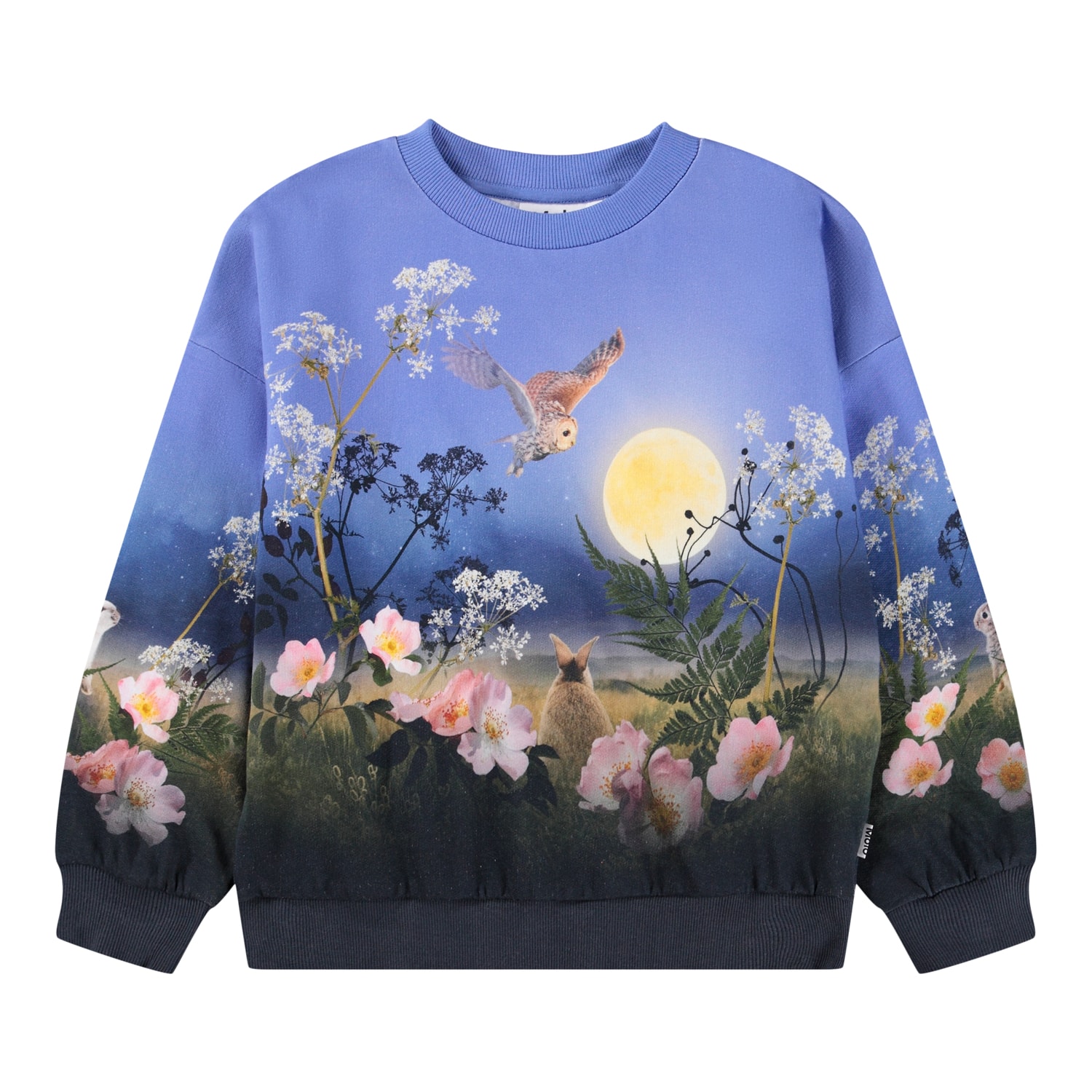 Maxi Sweatshirt