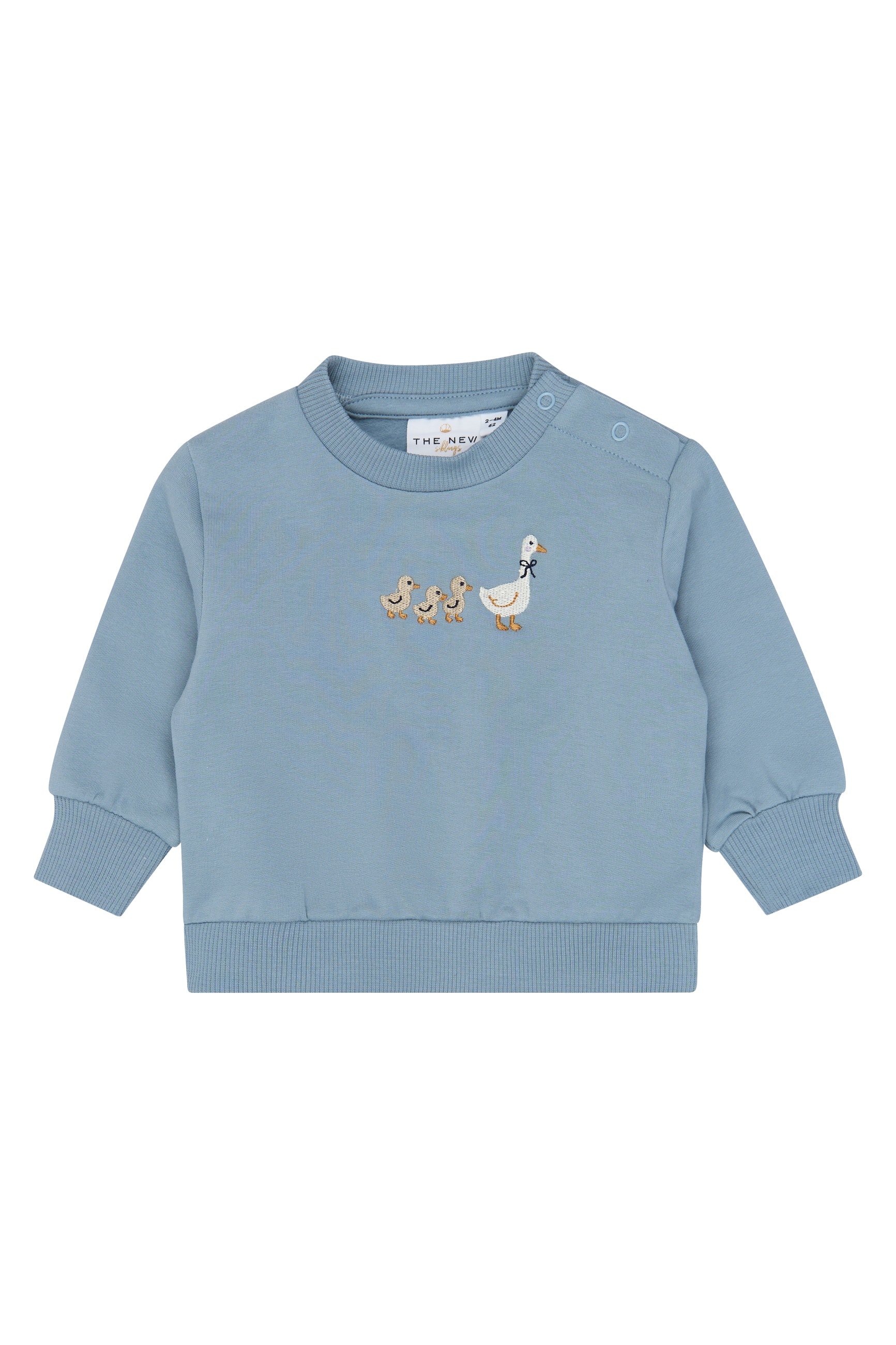 Varren Tröja Ashley Blue