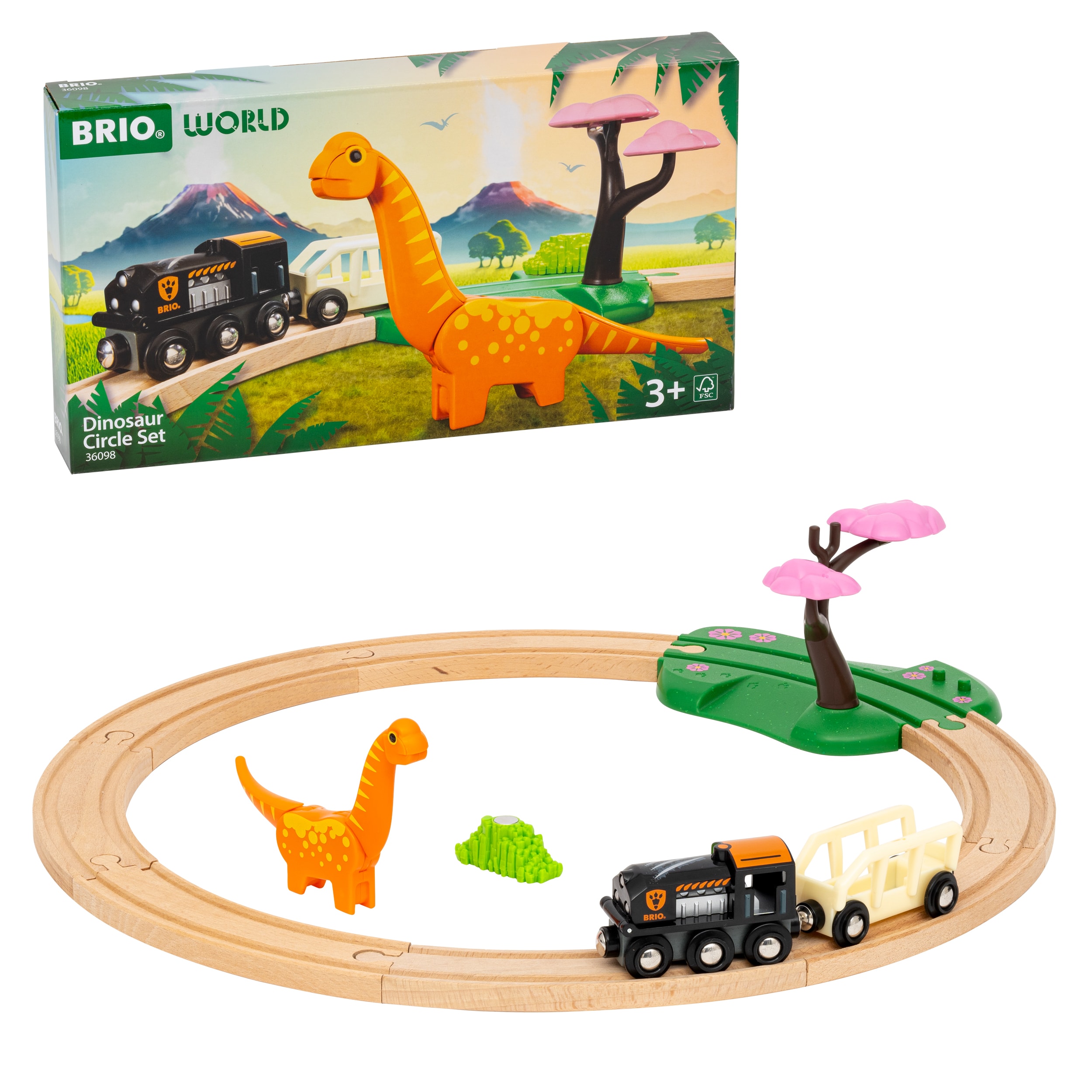Dinosaur Circle Set Multicolor 