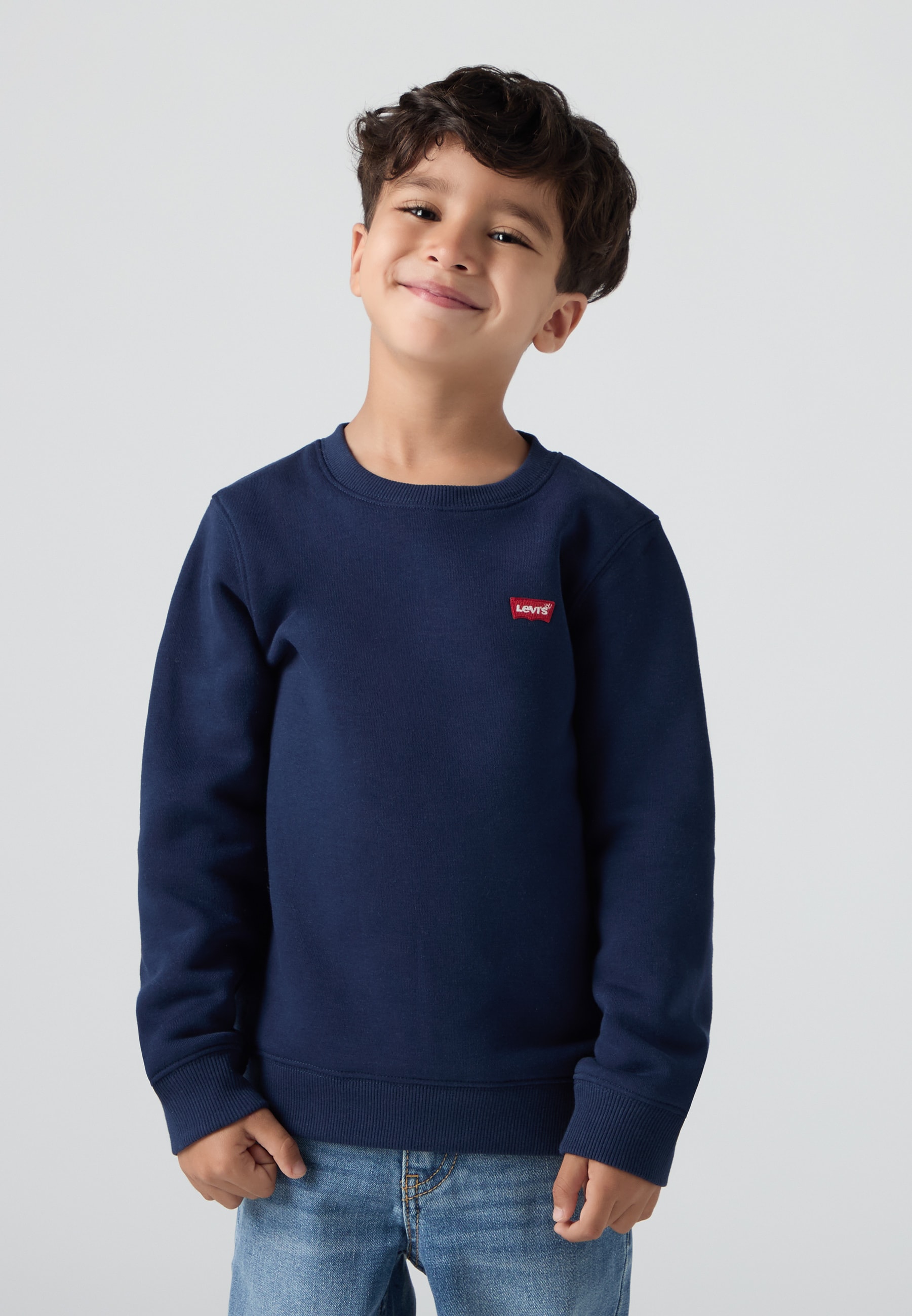 Mini Logo Crewneck Genser Dress Blues
