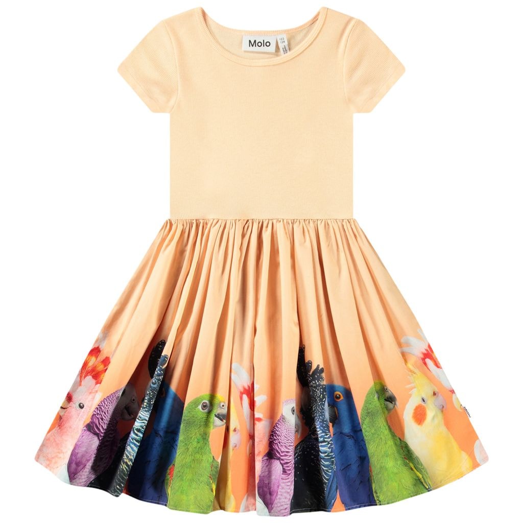 Cissa Short-Sleeved Dress Rainbow Parrots