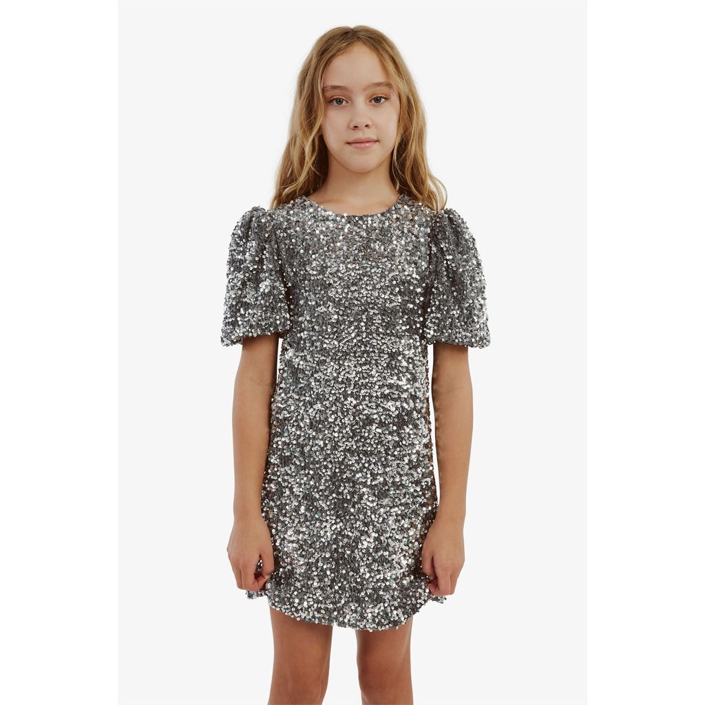 Giselle Sequin Velour Dress Silver