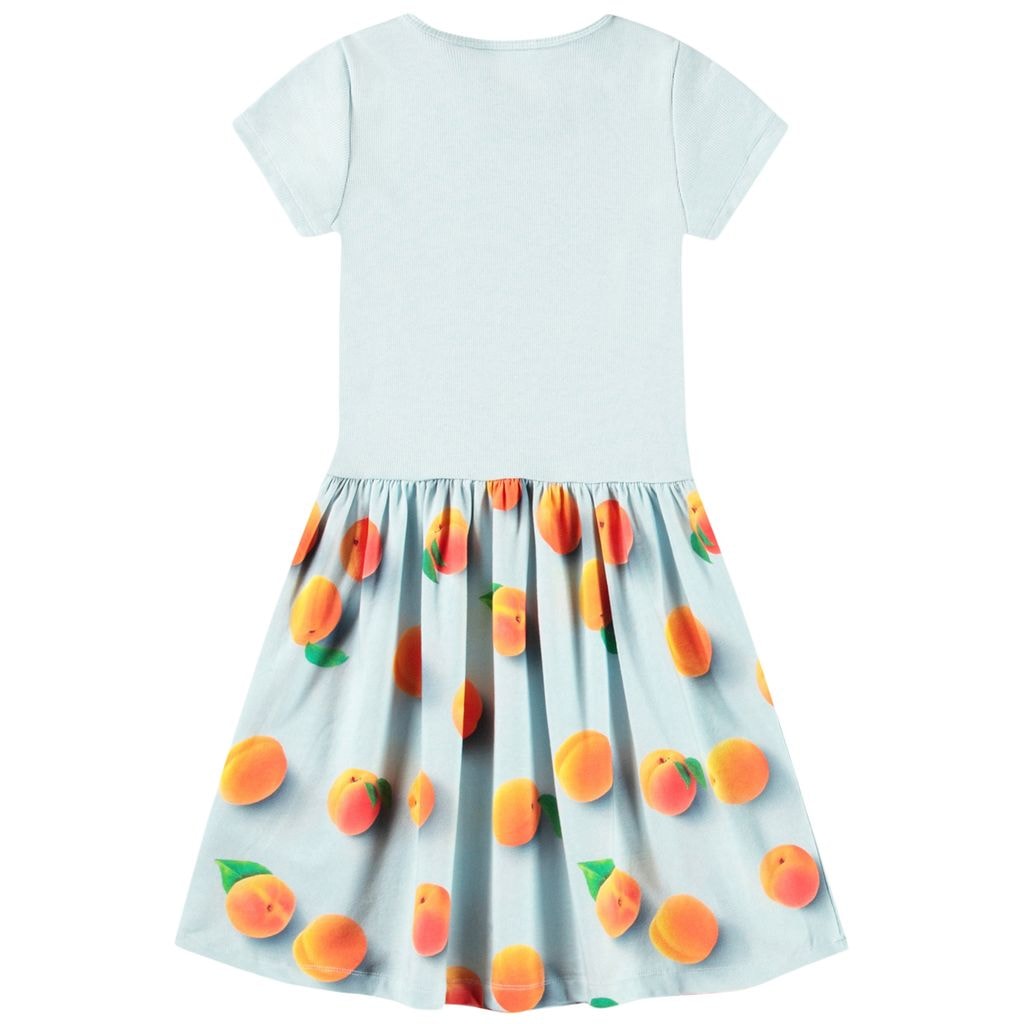 Cissa Short-Sleeved Dress Fresh Apricots