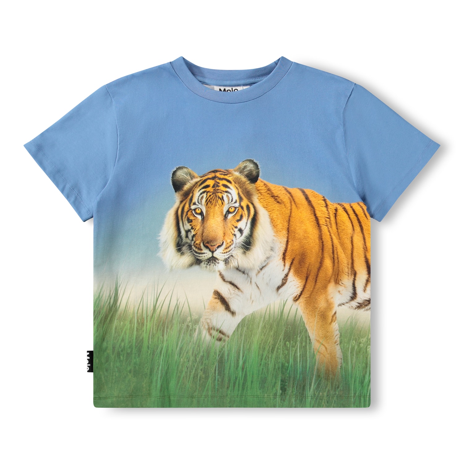 GOTS Rubin T-shirt Tiger On Blue 