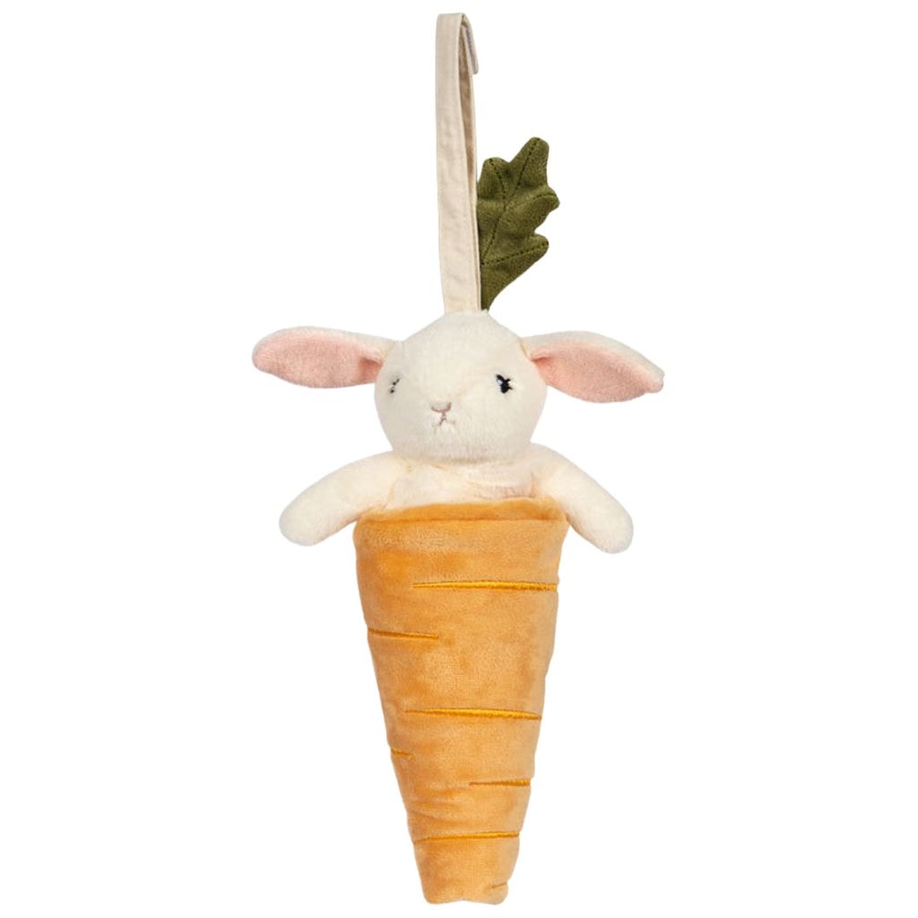 Activity Music Carrot Buttercup Orange