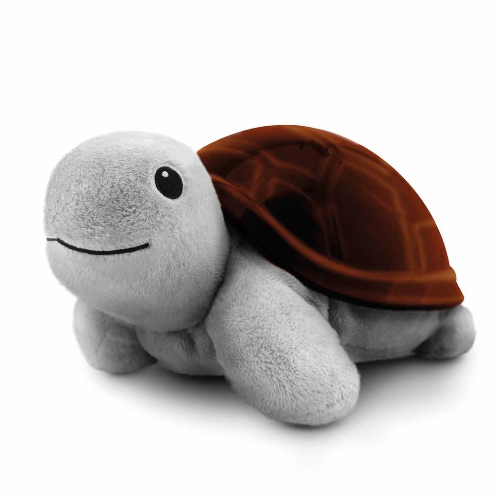 Tim the Turtle Projektor