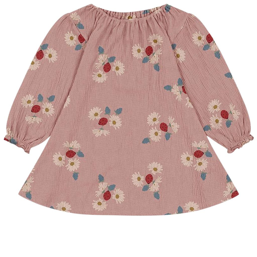Chleo Dress Ladybug Daisy Blush