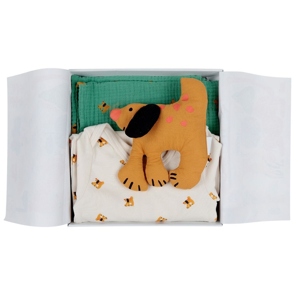 Fairy Dog Gift set Green