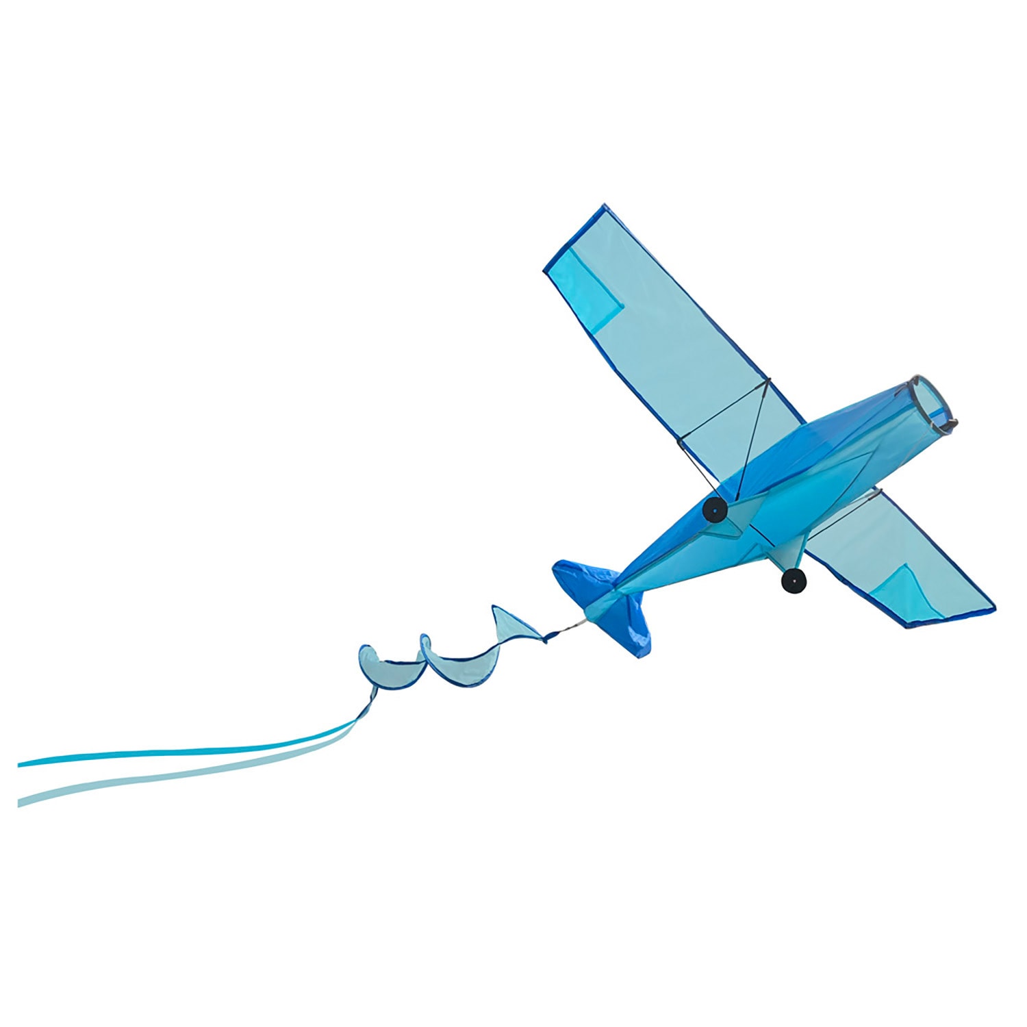 Dragefly Blue